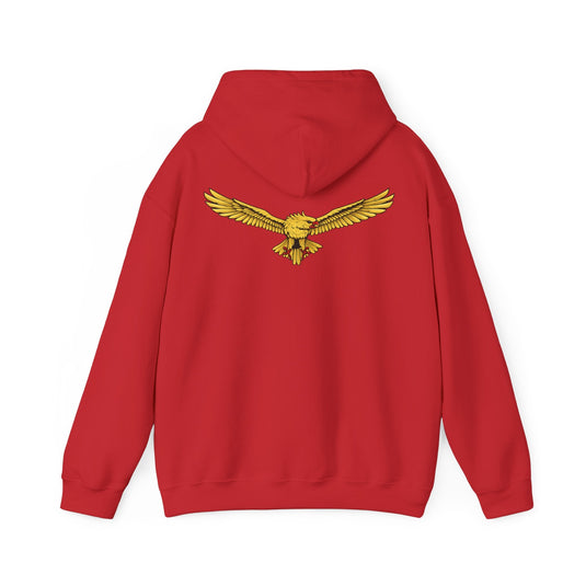 Wedgetail Eagle Air Force Hoodie Jumper Air Force Collection