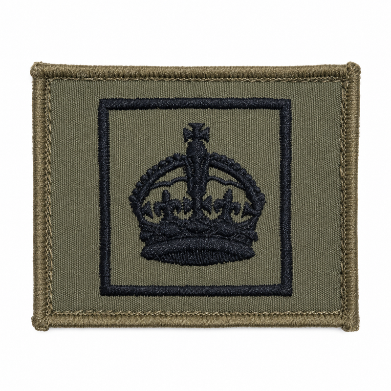 Load image into Gallery viewer, Rank Insignia AMCU Rank Patch TBAS Field Rank Patch
