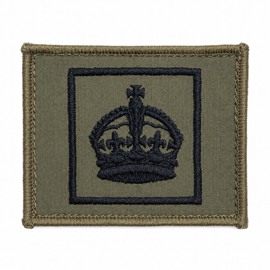 Rank Insignia AMCU Rank Patch TBAS Field Rank Patch