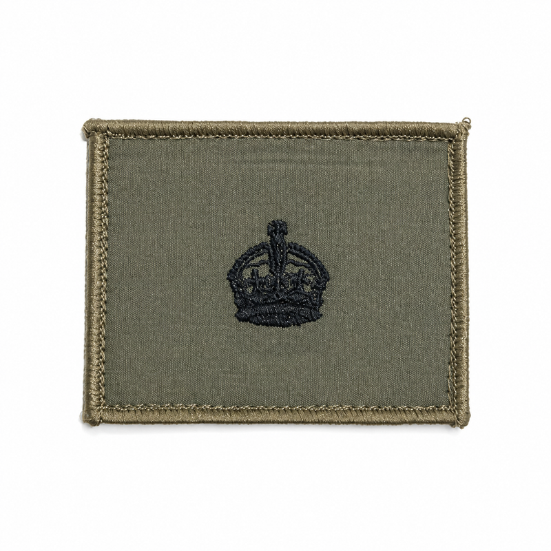 Load image into Gallery viewer, Rank Insignia AMCU Rank Patch TBAS Field Rank Patch
