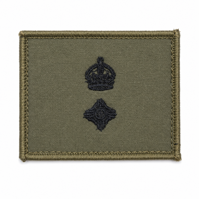 Load image into Gallery viewer, Rank Insignia AMCU Rank Patch TBAS Field Rank Patch
