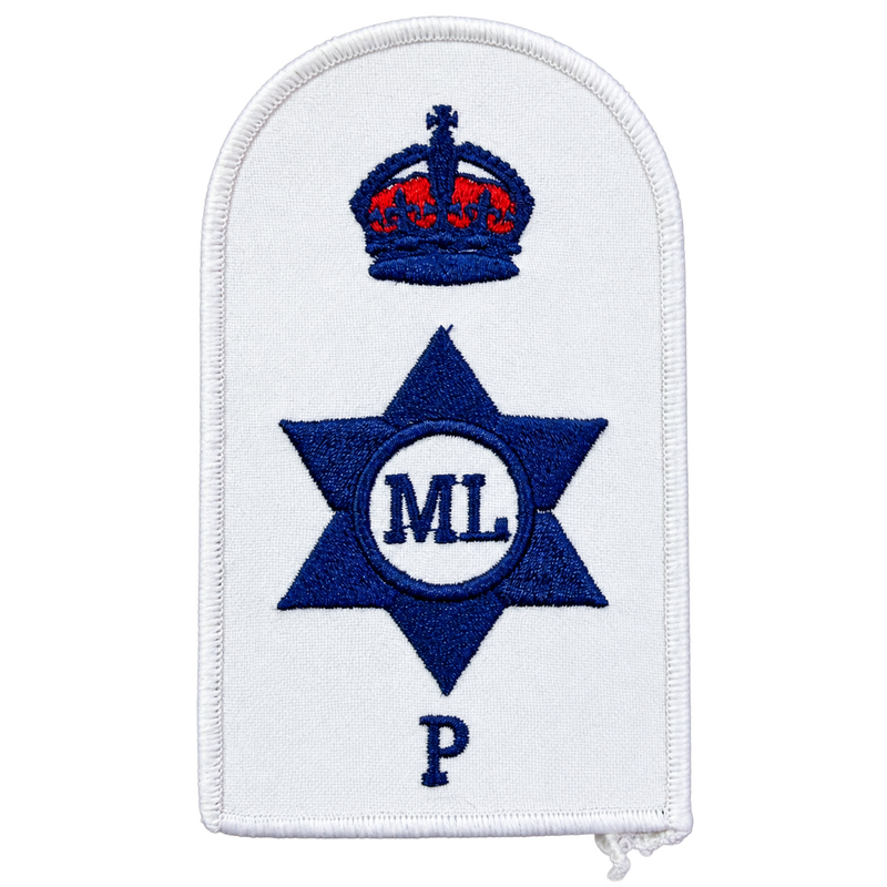 Load image into Gallery viewer, Personnel Operations Category Badge
