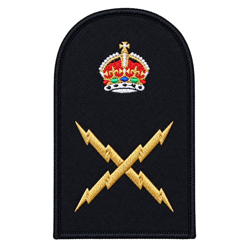 Load image into Gallery viewer, Electronic Technician Category Badge
