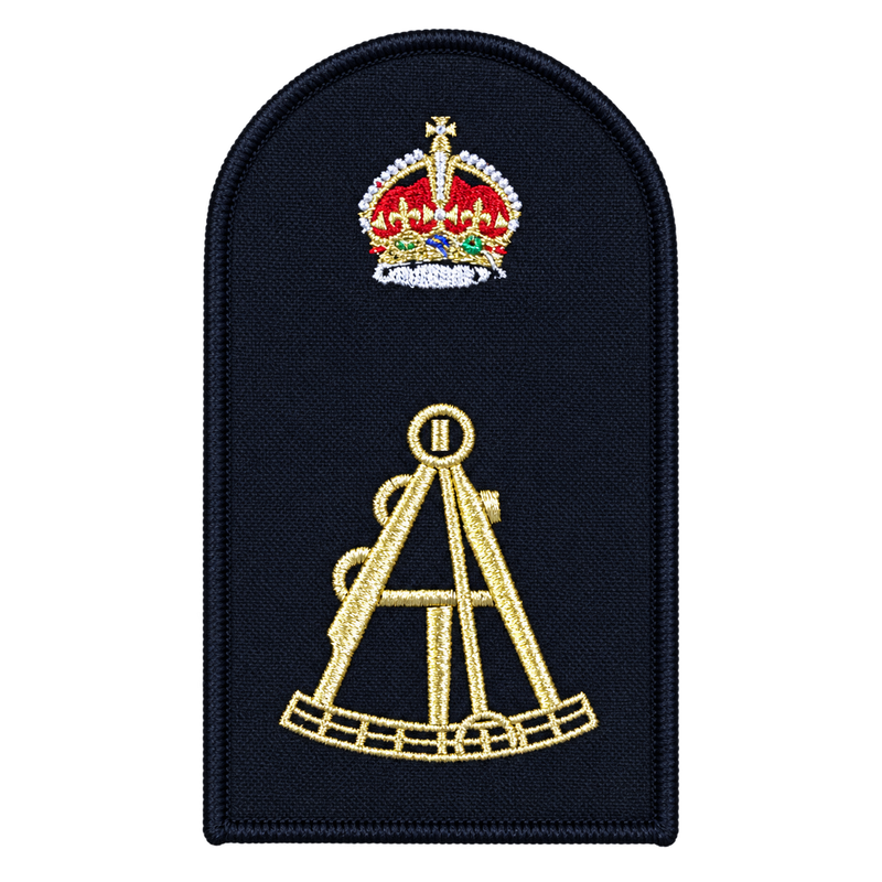 Load image into Gallery viewer, Hydrographic Systems Operator Category Badge
