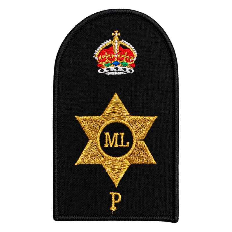 Load image into Gallery viewer, Personnel Operations Category Badge
