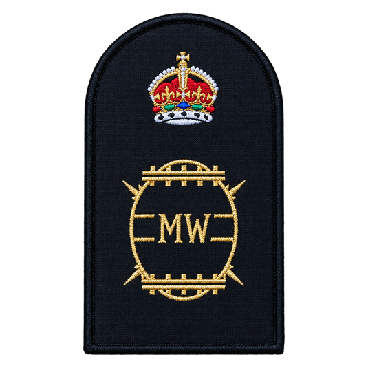 Combat Systems Operator Mine Warfare Category Badge