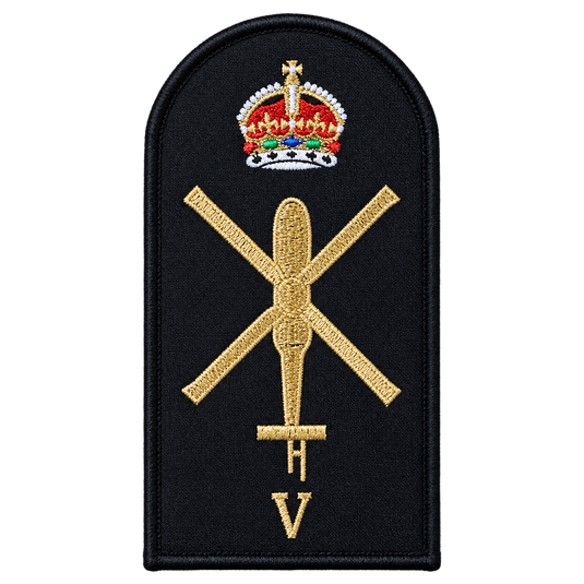 Aviation Technician Avionics Category Badge