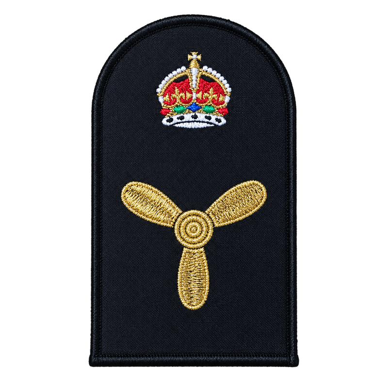 Load image into Gallery viewer, Marine Technical Category Badge
