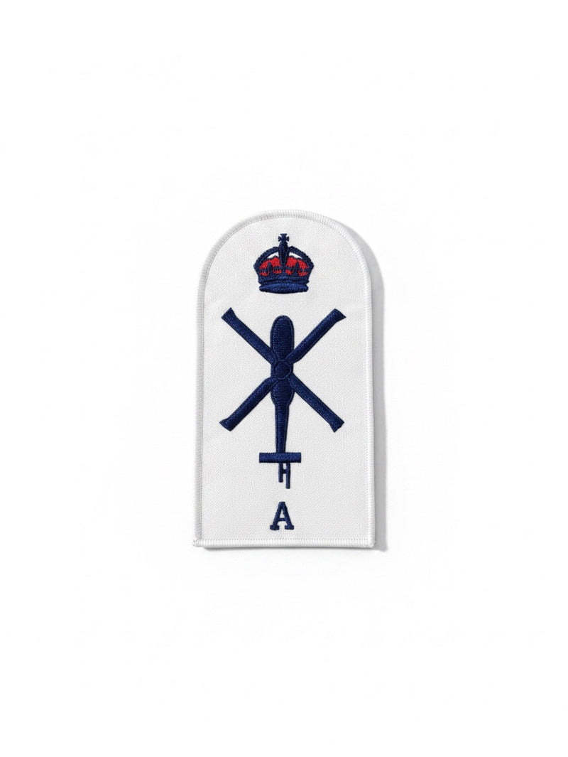 Load image into Gallery viewer, Aviation Technician Aircraft Category Badge
