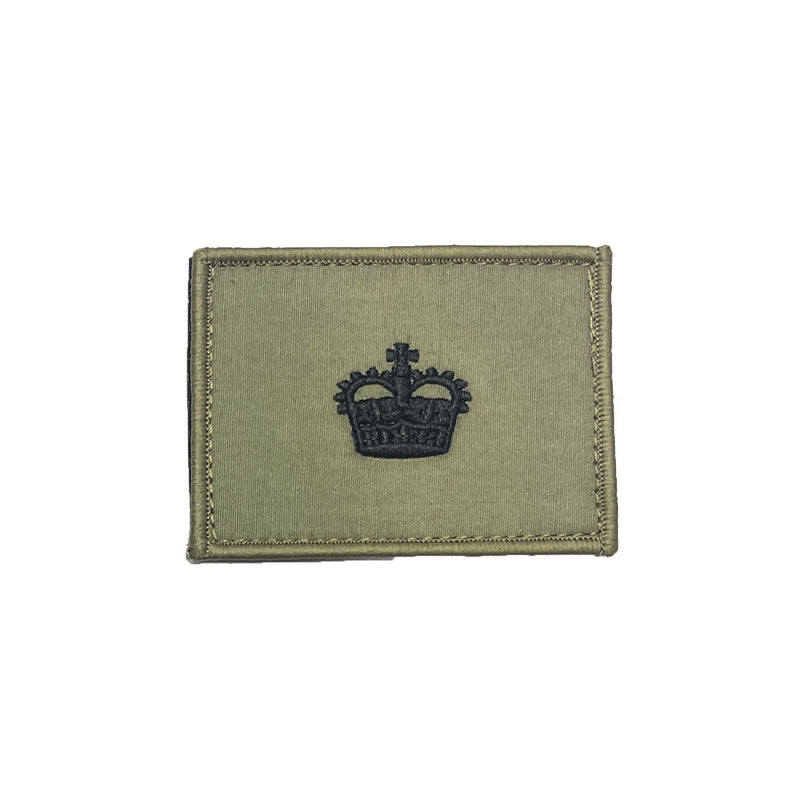 Load image into Gallery viewer, Rank Insignia AMCU Rank Patch TBAS Field Rank Patch - Cadetshop
