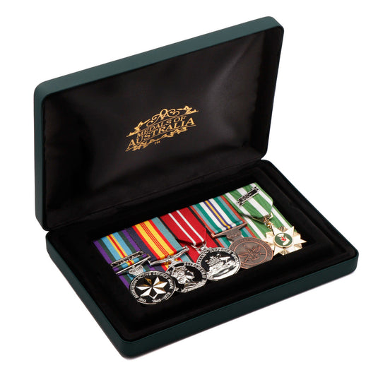 Medal Display and Storage Case