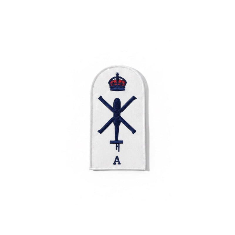 Load image into Gallery viewer, Aviation Technician Aircraft Category Badge
